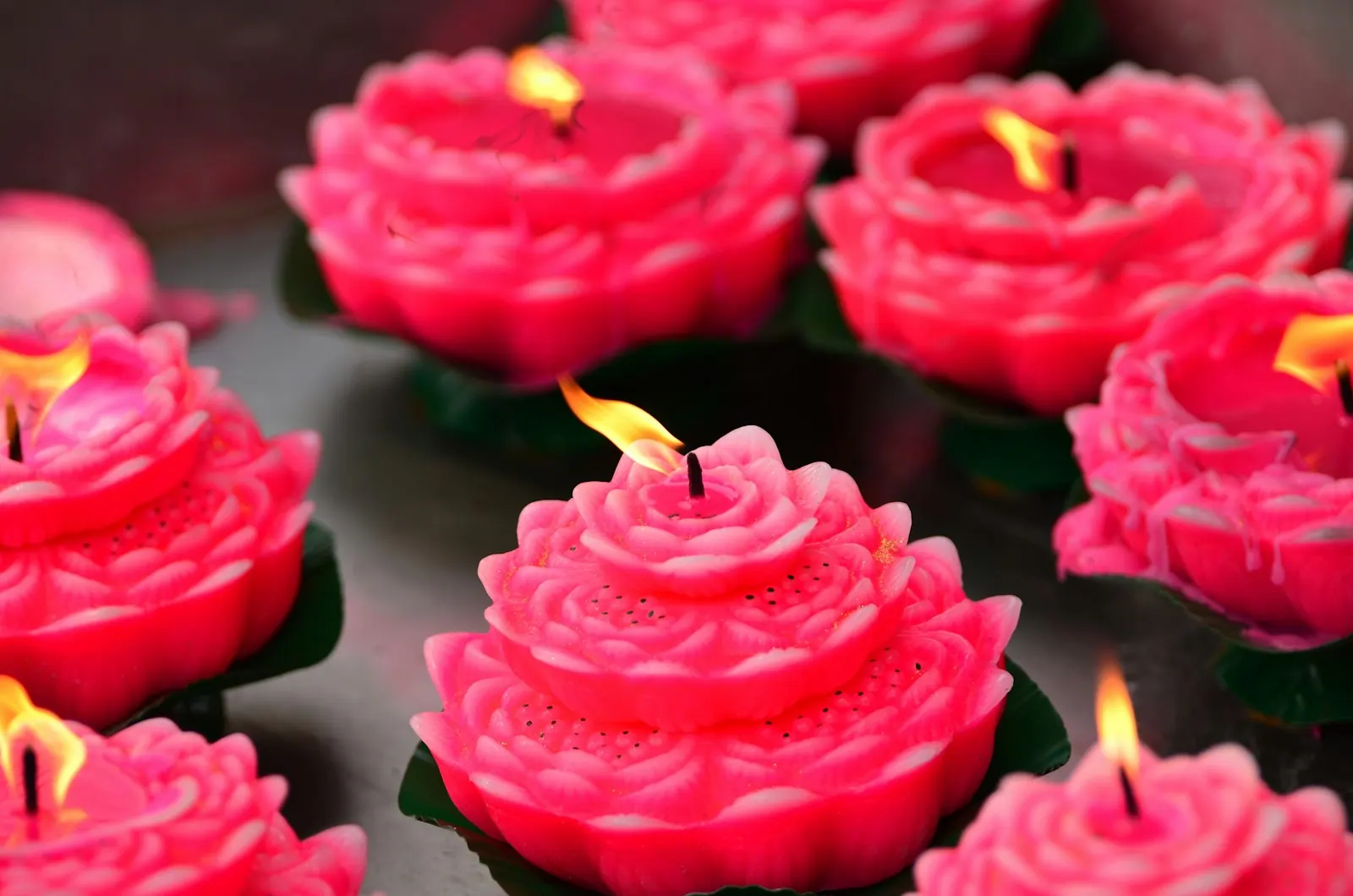 Velas rosas con forma de flor encendidas